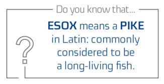 ESOX means a PIKE